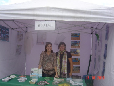 II Festa de la Sostenibilitat