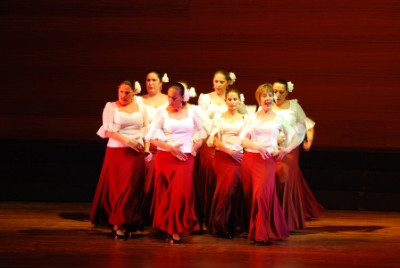 Gran acollida de la mostra de balls flamencs