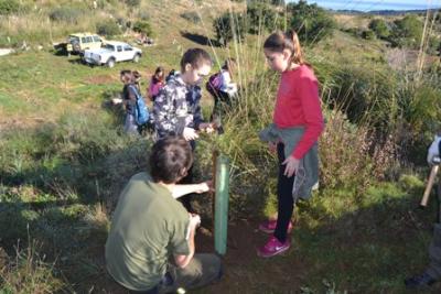 Els alumnes de l’IES Capdepera participen a una reforestació a Son Barbassa