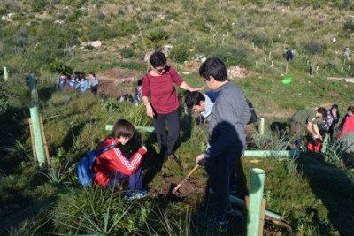 Els alumnes de l’IES Capdepera participen a una reforestació a Son Barbassa