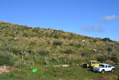 Els alumnes de l’IES Capdepera participen a una reforestació a Son Barbassa
