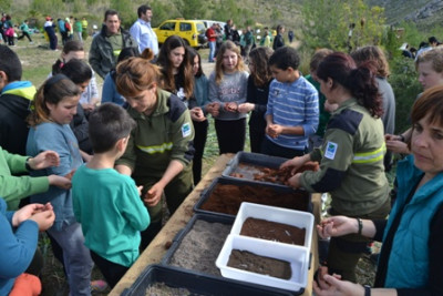 Capdepera participa en la jornada de reforestació comarcal per celebrar l’aniversari del concurs ‘Ni 1 foc al bosc’