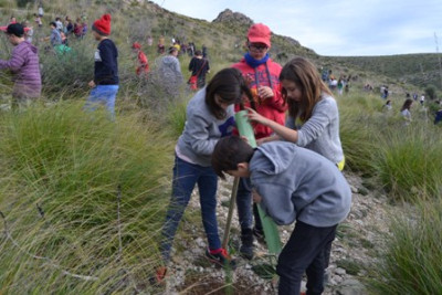 Capdepera participa en la jornada de reforestació comarcal per celebrar l’aniversari del concurs ‘Ni 1 foc al bosc’