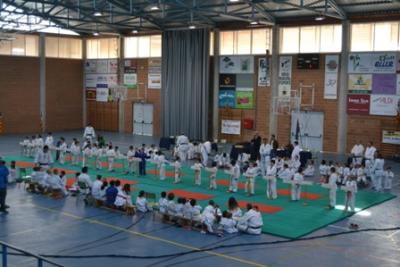 XXXI trofeu Cala Rajada de judo per a l'edat escolar