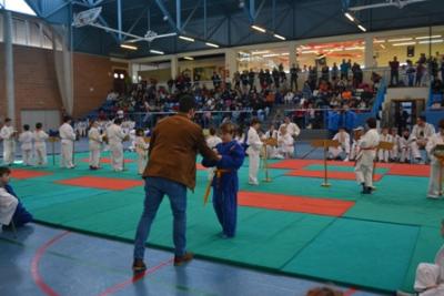 XXXI trofeu Cala Rajada de judo per a l'edat escolar