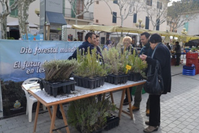 Medi Ambient regala plantes per celebrar el Dia Mundial Forestal
