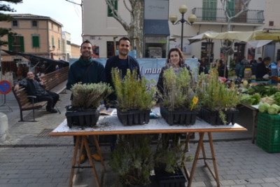 Medi Ambient regala plantes per celebrar el Dia Mundial Forestal
