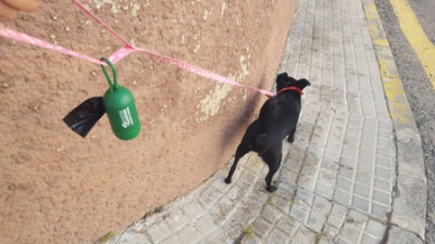 'Si el ca és teu la seva merda també, lleva-la!'