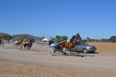 Carreres de cavalls