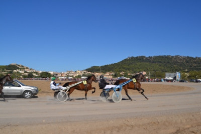 Carreres de cavalls