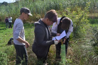Els alumnes de l’IES Capdepera reforesten Son Barbassa per tercer any consecutiu
