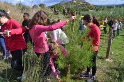 Els alumnes de l’IES Capdepera reforesten Son Barbassa per tercer any consecutiu