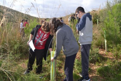 Els alumnes de l’IES Capdepera reforesten Son Barbassa per tercer any consecutiu
