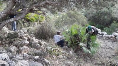 Comença la tasca de neteja del jaciment arqueològic Es Claper des Gegants