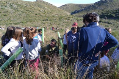 Els alumnes de S’Auba i S’Alzinar reforesten Sa Duaia-Es Recó