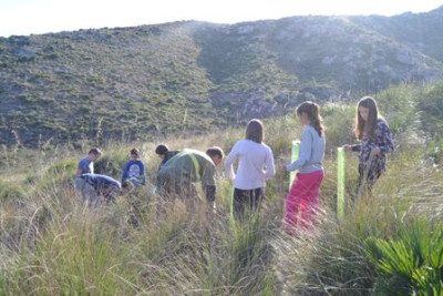 Els alumnes de S’Auba i S’Alzinar reforesten Sa Duaia-Es Recó