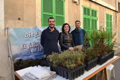 Medi Ambient regala plantes per commemorar el Dia Mundial Forestal