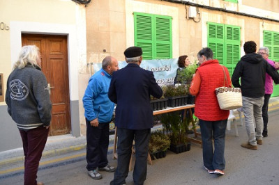 Medi Ambient regala plantes per commemorar el Dia Mundial Forestal