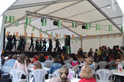 El cap de setmana de flamenc omple de música la plaça dels Pins