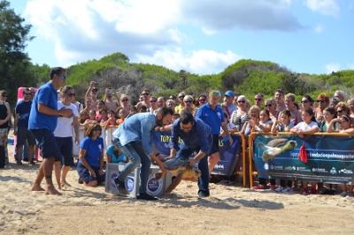El Centre de Recuperació de Fauna Marina de Palma Aquarium amolla la tortuga Cannoli a cala Agulla