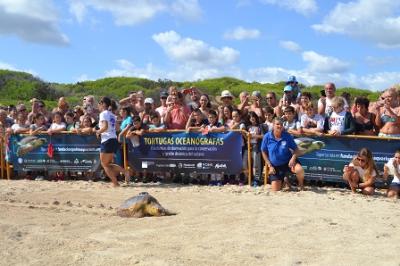 El Centre de Recuperació de Fauna Marina de Palma Aquarium amolla la tortuga Cannoli a cala Agulla