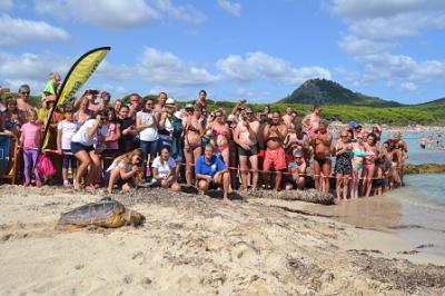 El Centre de Recuperació de Fauna Marina de Palma Aquarium amolla la tortuga Cannoli a cala Agulla