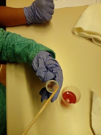 Les biblioteques organitzen un taller sobre l’ADN on els joves detectius descobreixen què és i per a què serveix