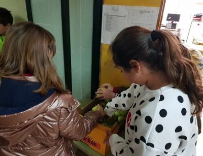 Capdepera Activa apropa la fruita al pati de l’escola