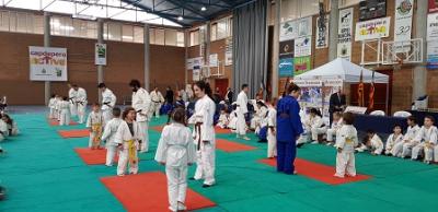 Exhibició i competició de Judo en edat escolar dins la Fira de l'Esport i la Salut