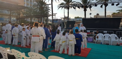 Sus a Sant Roc amb el judo, el cercavila i el pregó