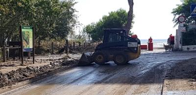 Les tasques de neteja de carrers de Canyamel continuen durant tot el dia d'avui