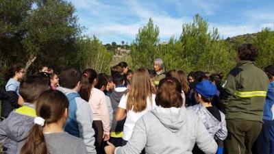 S’Auba ajuda a reforestar Sa Duaia