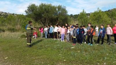 S’Auba ajuda a reforestar Sa Duaia