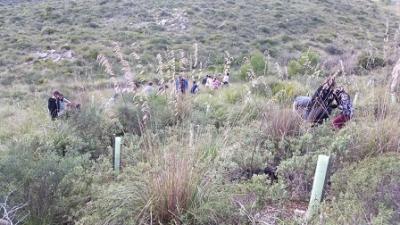 S’Auba ajuda a reforestar Sa Duaia