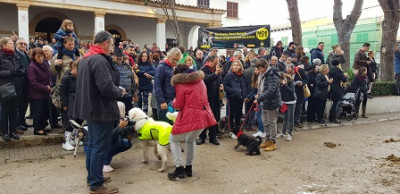 La pluja no atura les Beneïdes de Sant Antoni a Cala Rajada