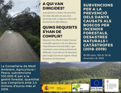 Subvenció per a la gestió forestal