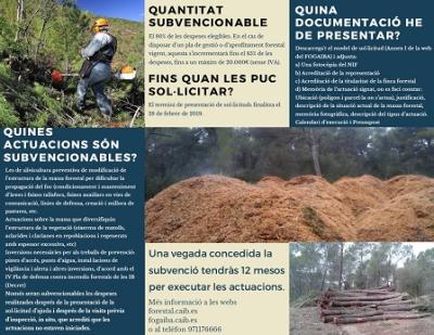 Subvenció per a la gestió forestal