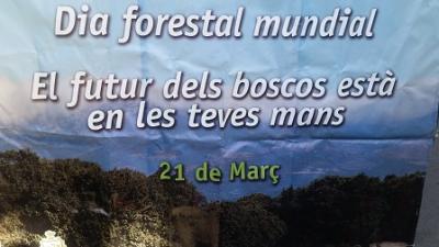 El departament de Medi Ambient regala plantes per commemorar el Dia mundial Forestal