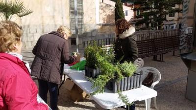 El departament de Medi Ambient regala plantes per commemorar el Dia mundial Forestal