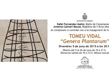 Exposició Genera Plantarum, de Tomeu Vidal
