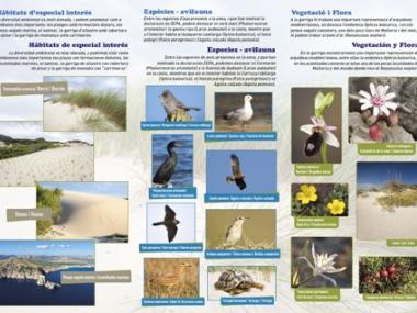 Medi Ambient imprimeix nous tríptics per informar de la importància de conservar els espais protegits dins Xarxa Natura 2000