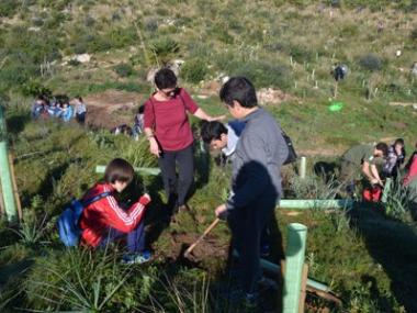 Els alumnes de l’IES Capdepera participen a una reforestació a Son Barbassa