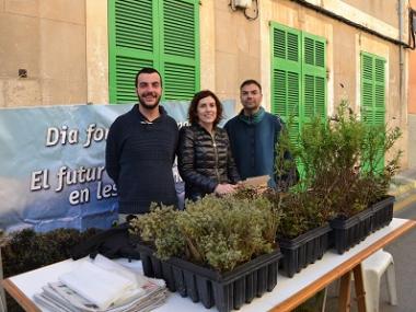 Medi Ambient regala plantes per commemorar el Dia Mundial Forestal