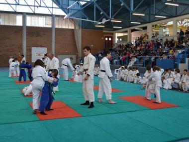 Senderisme, volei i judo en el segon cap de setmana del mes de l'esport gabellí