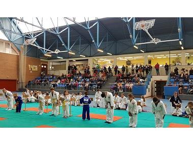 Exhibició i competició de Judo en edat escolar dins la Fira de l'Esport i la Salut