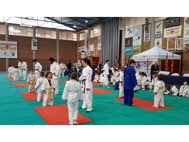 Exhibició i competició de Judo en edat escolar dins la Fira de l'Esport i la Salut