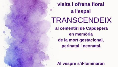 TRANSCENDEIX