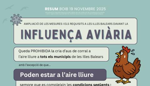 INFOGRAFIA INFLUENÇA_AVIÀRIA