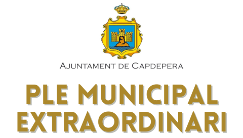 Ple extraordinari
