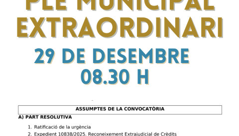 Convocatòria ple extraordinari